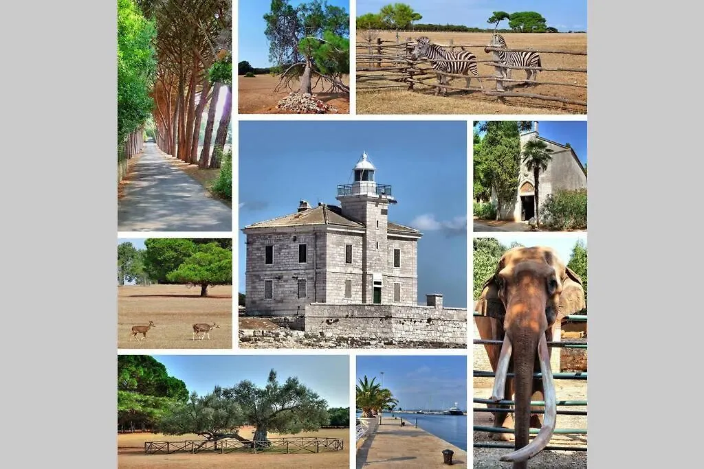 Vila Flora Relax House, Free Parking Peroj